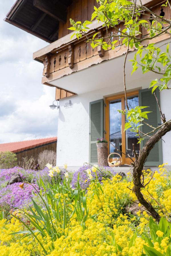 Ferienwohnung Falltannach Sonthofen Dış mekan fotoğraf